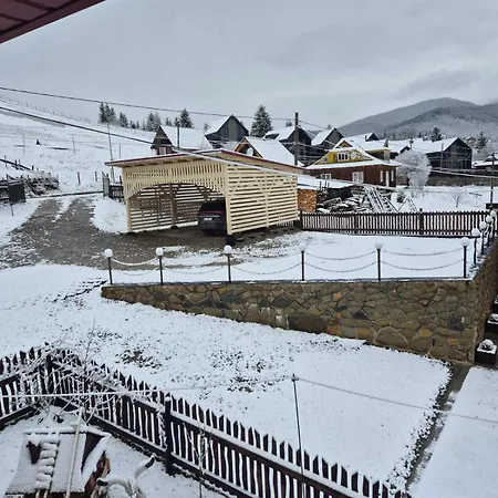 Διαμέρισμα Bee House поляниця *