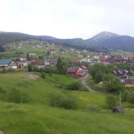 Bee House поляниця