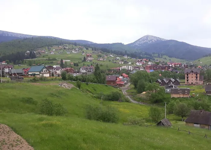 Bee House поляниця